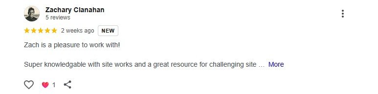 Google review screenshot 1